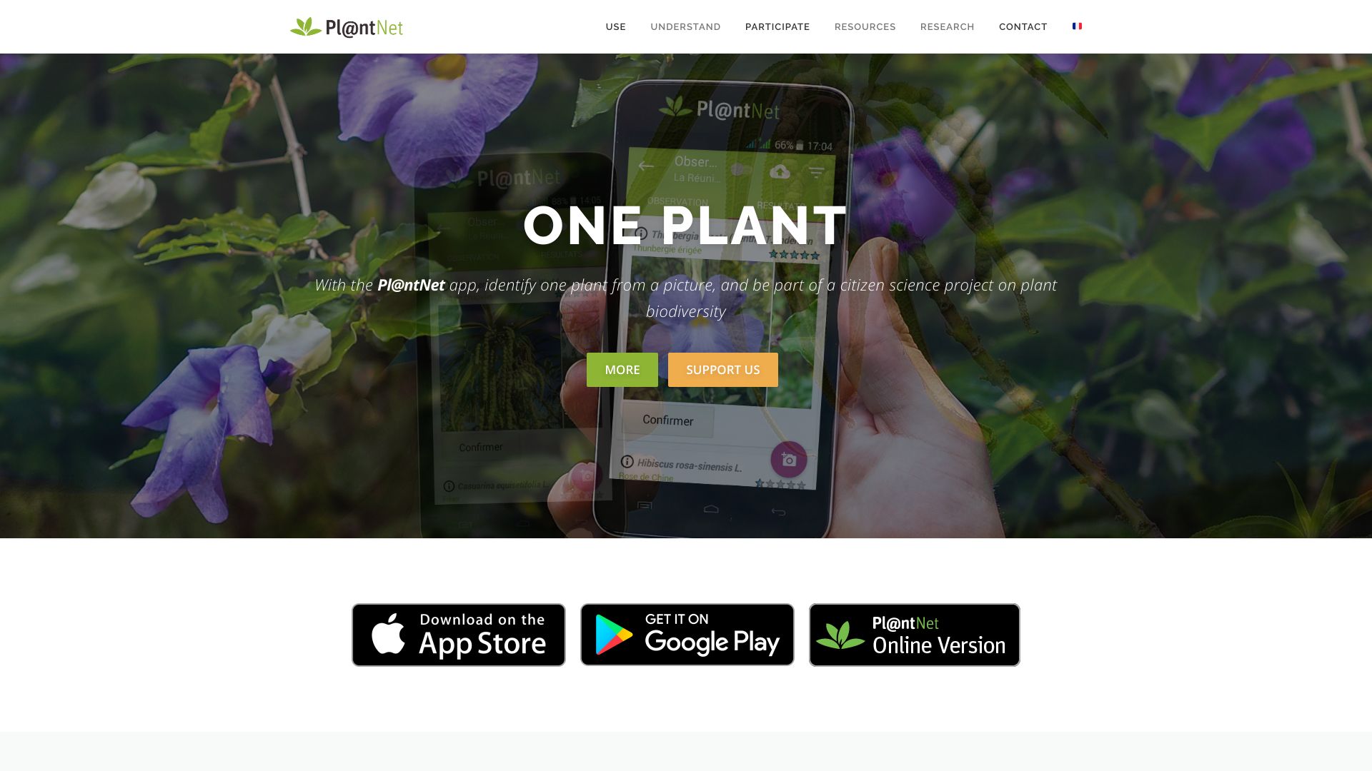 Pl@ntNet - AI Tool
