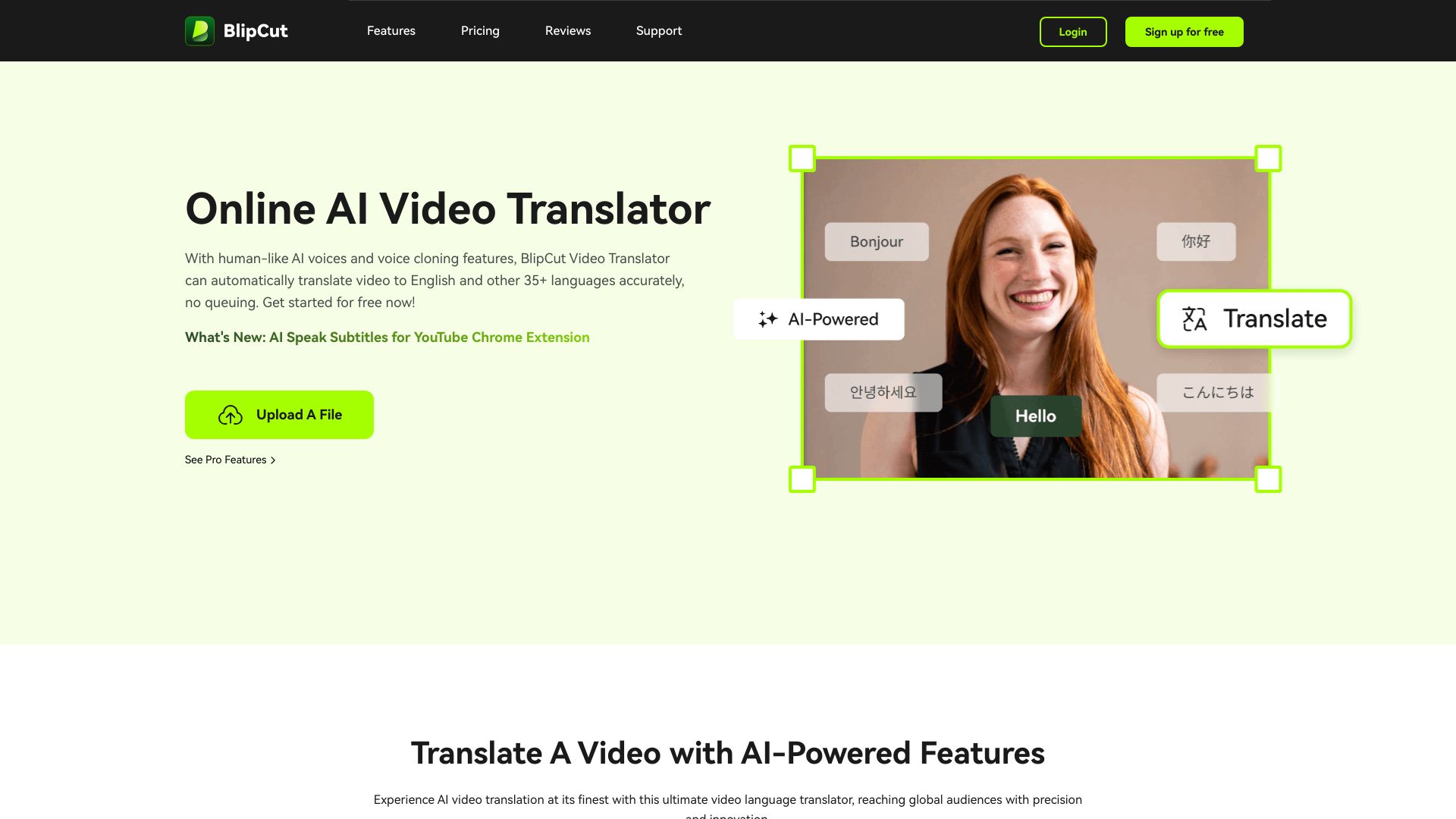 BlipCut AI Video Translator - AI Tool