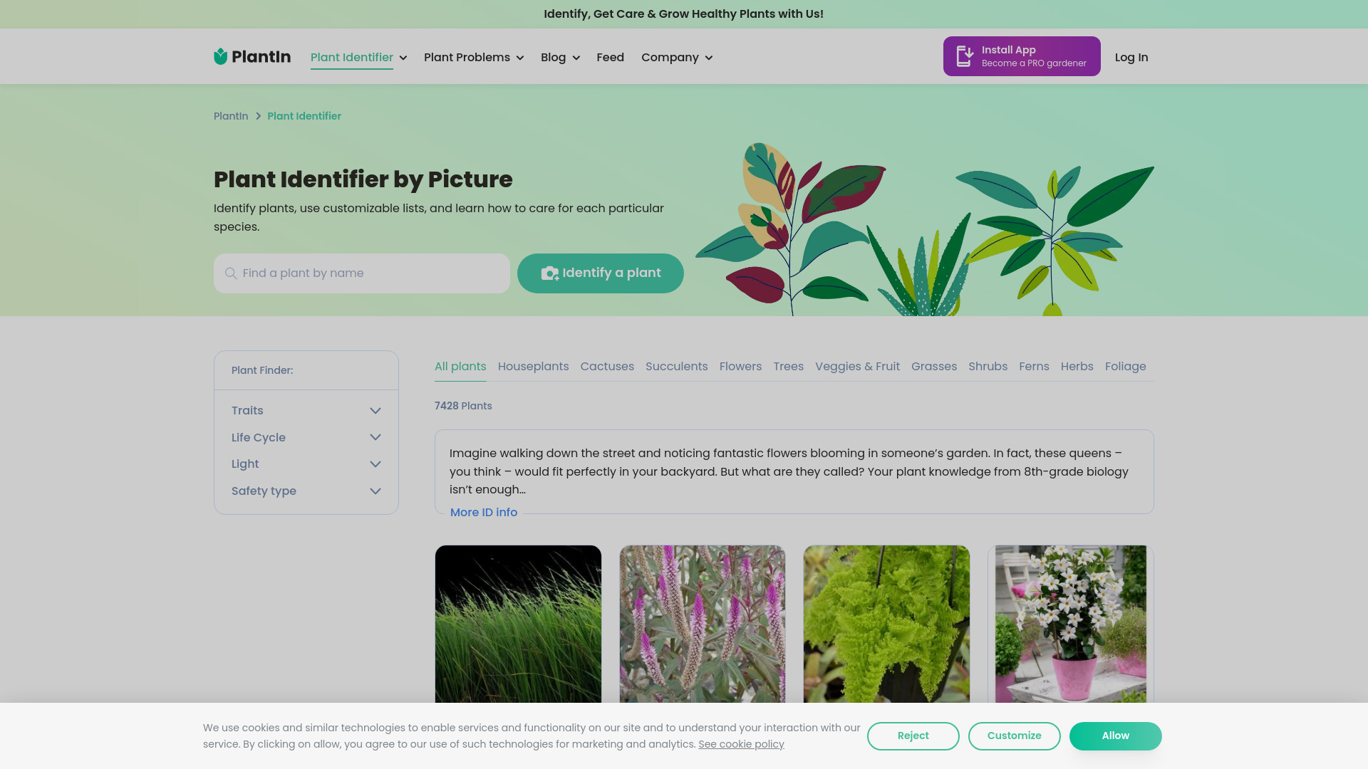 PlantIn plant care identifier - AI Tool